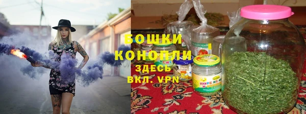 PSILOCYBIN Верея